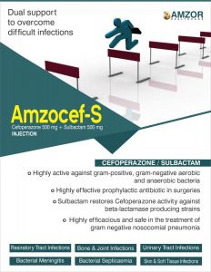 AMZOCEF-S-injection